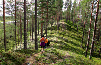 Lenkkeilijät ulkoilevat metsäpolulla ja järvimaisemissa.