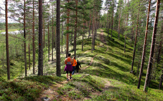 Lenkkeilijät ulkoilevat metsäpolulla ja järvimaisemissa.